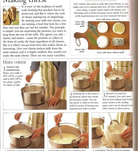 making cheese