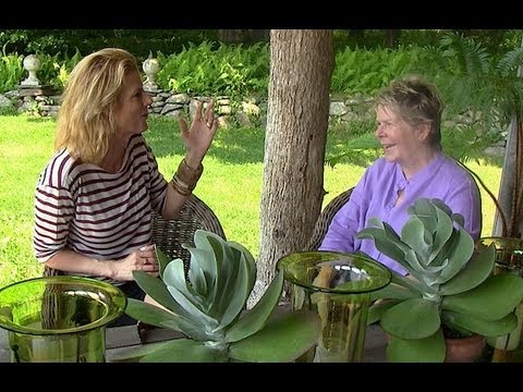 Video thumbnail for youtube video iqmsfvaulsu