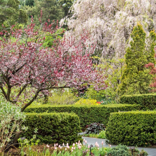 NYBG Perennial Garden