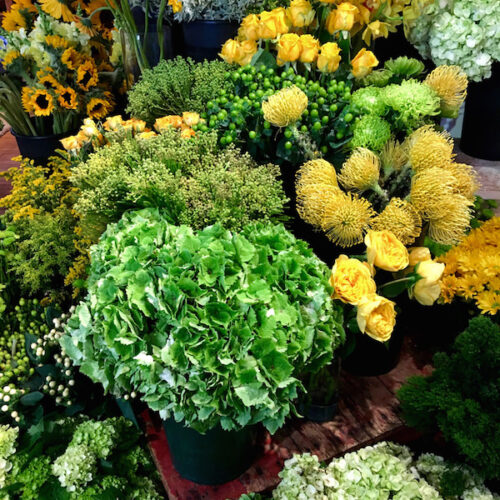 Flowers on Chestnut fresh flowers