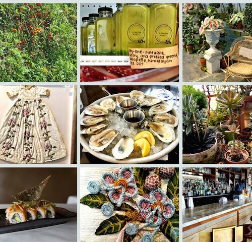 Friday Five Favorite Finds IX Preview