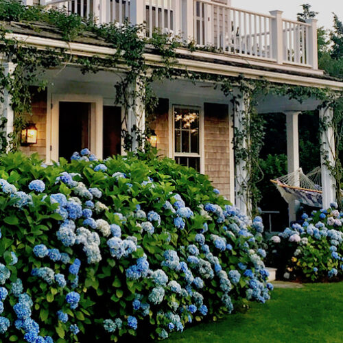 Nantucket by Design 2017