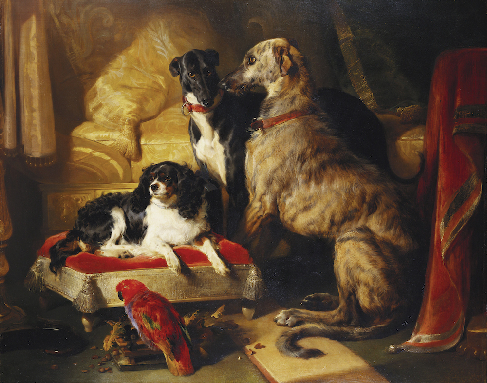 Hector, Nero, and Dash with the parrot, Lory