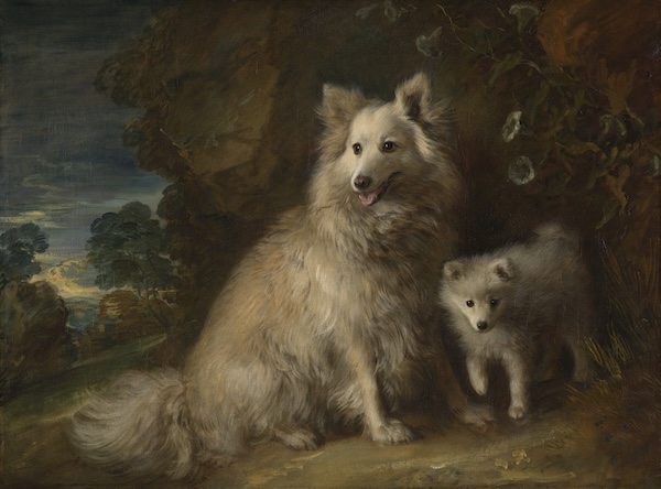 Thomas Gainsborough, Pomeranian and Puppy, ca. 1777 Tate, London