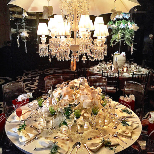 Ally Coulter Orchid Dinner 2015