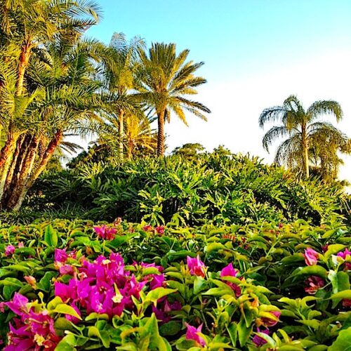 spring break in Florida