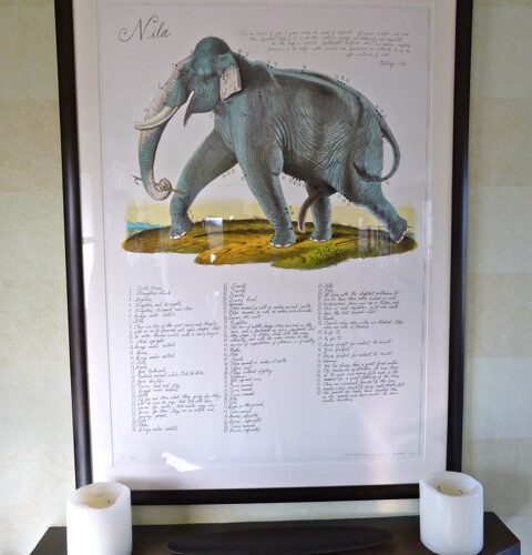 Walton Ford print at Peter Fasano’s house