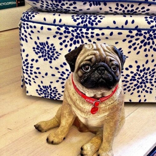 ceramic pug