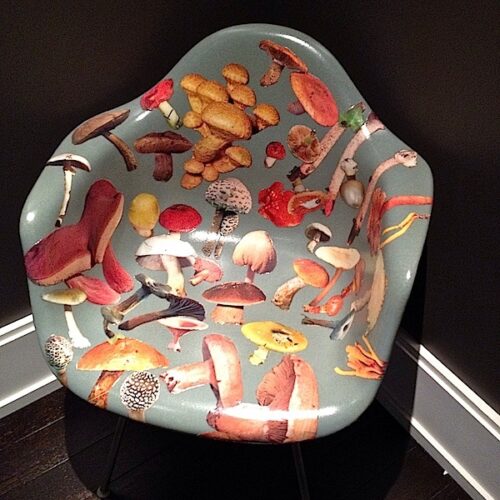 decoupage mushroom chair