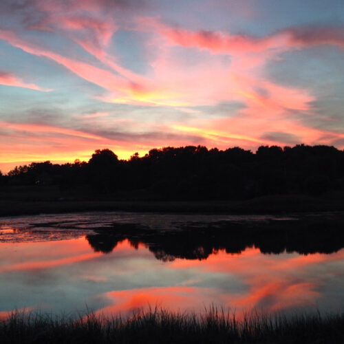 SKYSCAPES by Stacy Bass